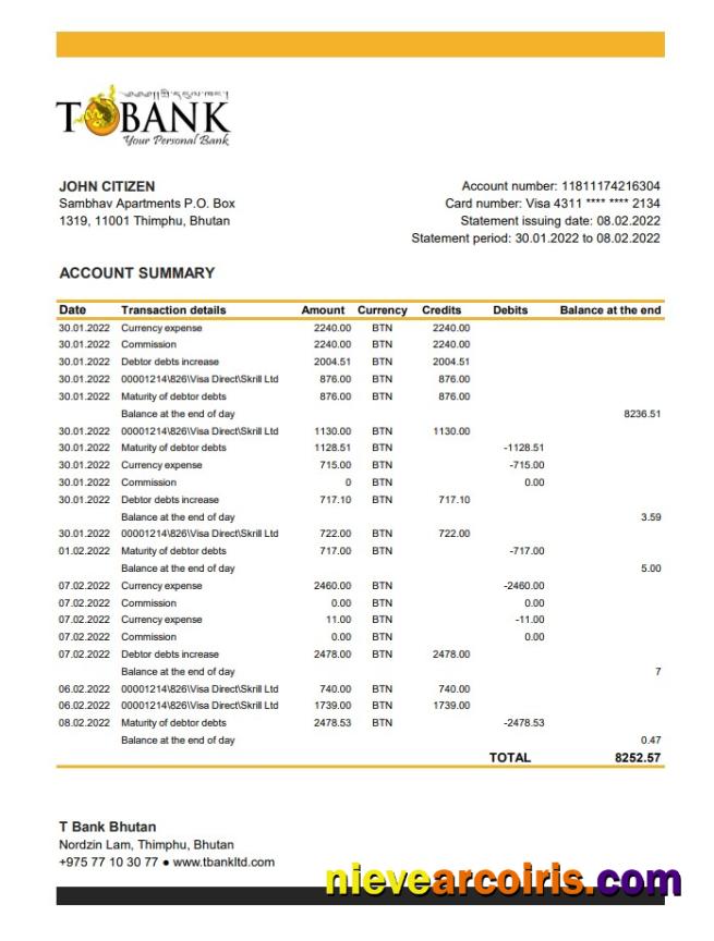 Bhutan T Bank Statement xls